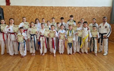 У Полтаві відбулася атестація на пояси!